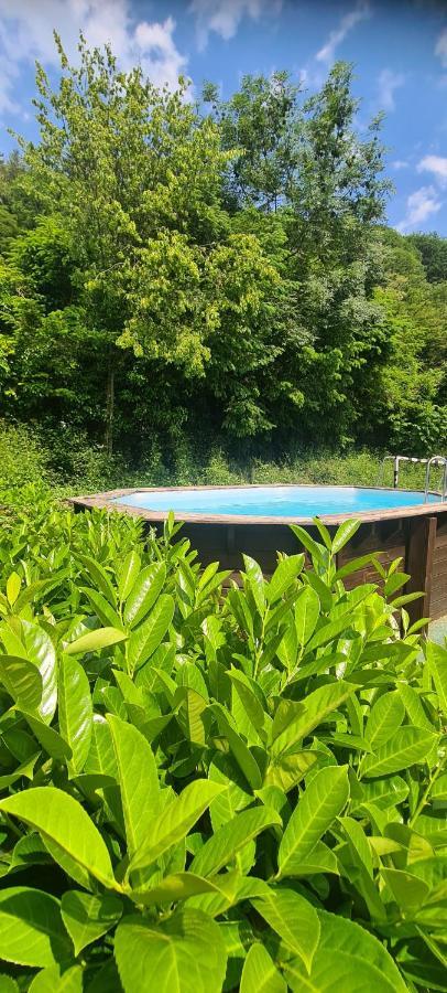 Maison Piscine Villa Saint-Amarin Eksteriør bilde