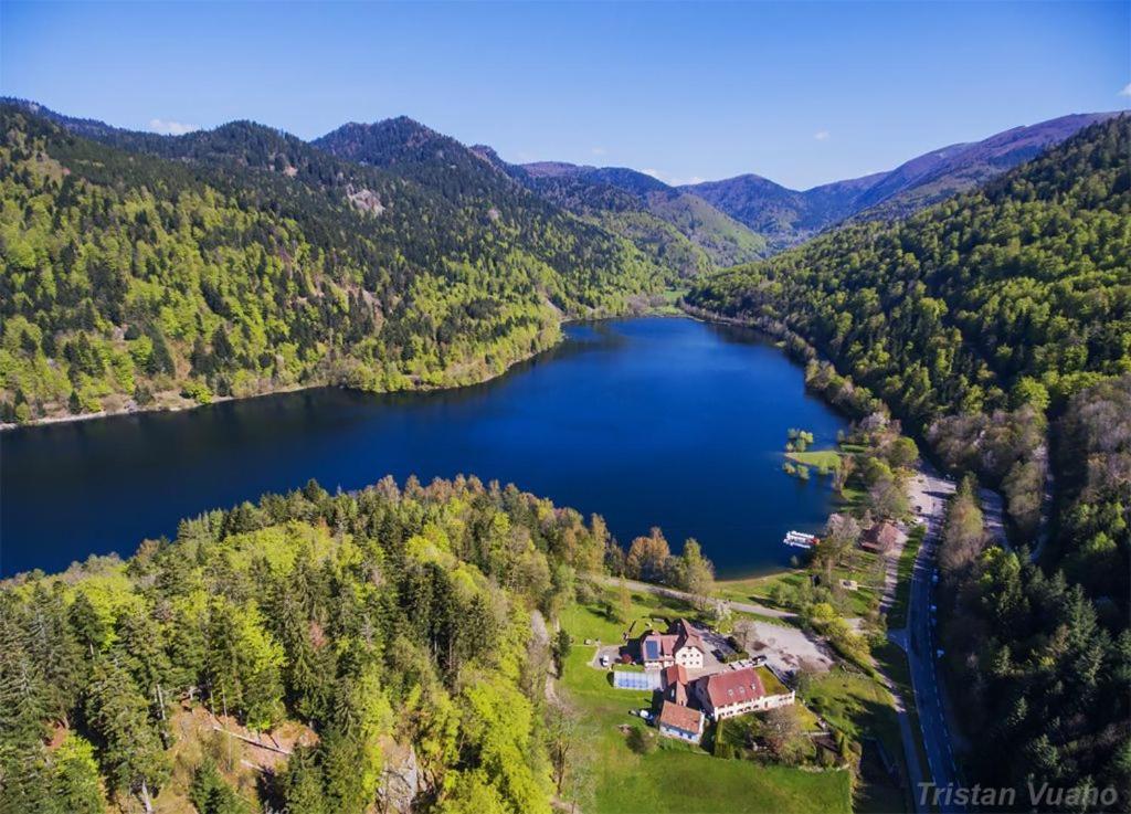 Maison Piscine Villa Saint-Amarin Eksteriør bilde